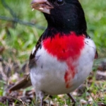 joshua-j-cotten-Yf5dcblMCrA-unsplash-683×1024-1.jpg