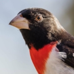 mark-olsen-2xkUW9URWDw-unsplash-683×1024-1.jpg
