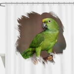 2AmazonShowerCurtain.jpg