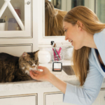5-ways-to-tell-your-cat-you-love-them-this-valentines-day_3.jpg