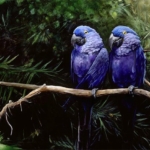 6HyacinthePainting.jpg