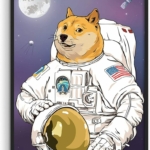 AstroDoge-Funny-Poster-Dorm-Decor-By-Haus-and-Hues-778×1024-1.jpg