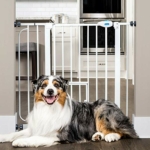 Carlson-Extra-Wide-Walk-Through-Pet-Gate-1.jpg