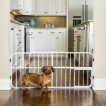 Carlson-Pet-Products-Lil-Tuffy-Expandable-Gate.jpg