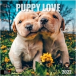 ED-EMBER-Puppy-Love-2022-Hangable-Wall-Calendar-1024×1024-1.jpg