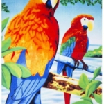 JYK-Beach-Towel-513×1024-1.jpg