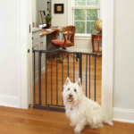 MyPet-Windsor-Arch-Pet-Gate-for-Dogs.jpeg