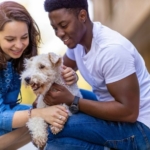 PetParents-668×446-1.jpg