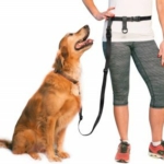 The-Buddy-System-Adjustable-Hands-Free-Dog-Leash-300×285-1.jpg
