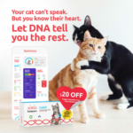 Webp.net-resizeimage50-e1643379754754.jpg