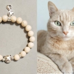 cream-tabby-bracelet-e1643723335357.jpg