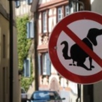 dog-poop.jpg