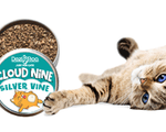 featured_solution_cloud_nine-updated_480x480.png