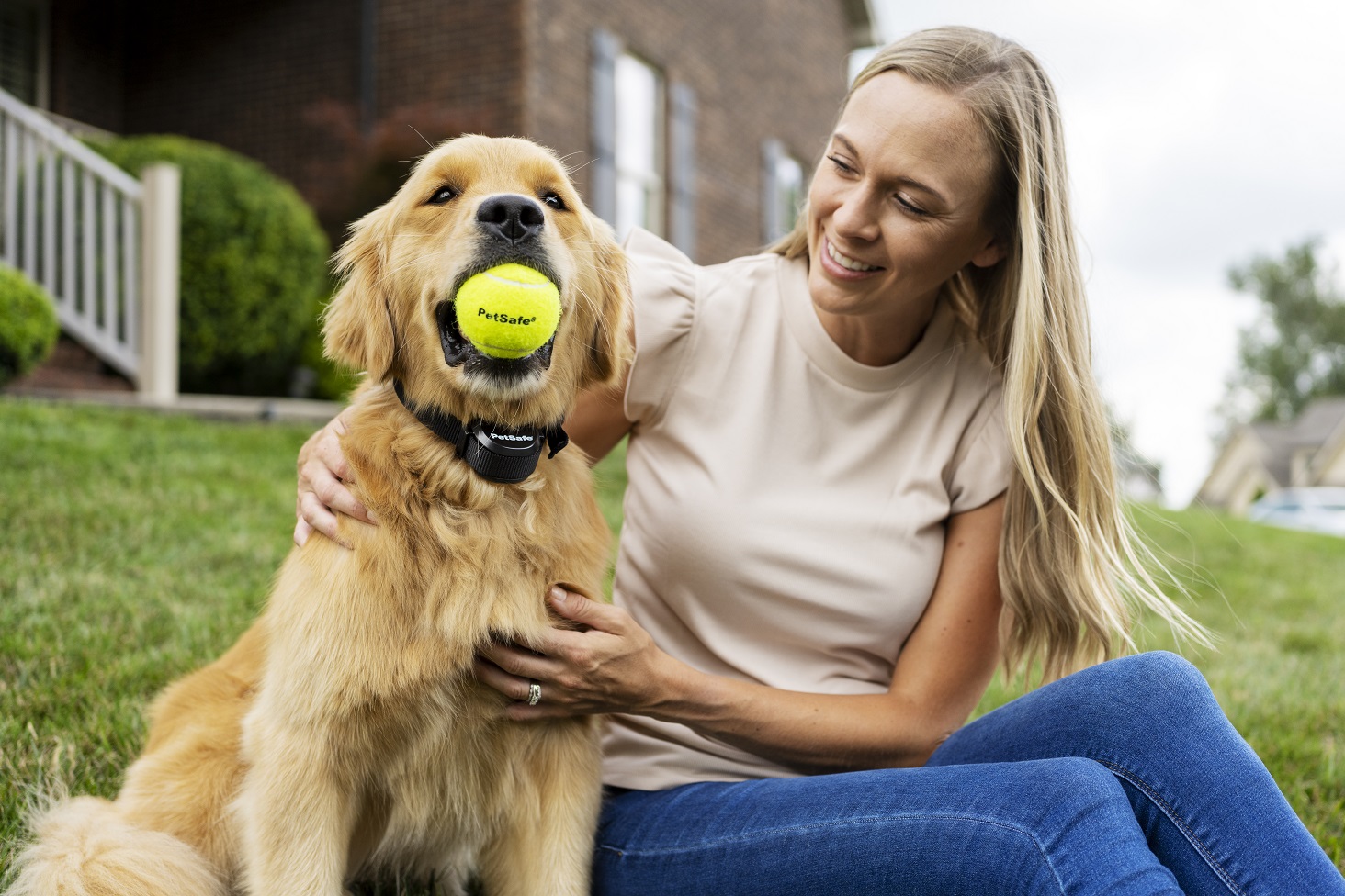 How To Keep A Dog From Escaping The Yard Pet News Live