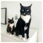 murphy-and-minnie-1-scaled-1.jpg