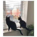 murphy-and-minnie-3.jpg
