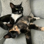 murphy-and-minnie-4-scaled-1.jpg