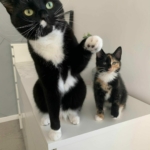 murphy-and-minnie-5-scaled-1.jpg