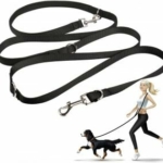 oneisall-Hands-Free-Dog-Leash-300×285-1.jpg