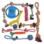 top-10-things-to-buy-for-shelters-toys.jpg