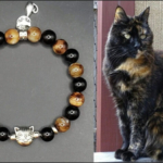 tortoiseshell-cat-bracelet-e1629807929646.jpg