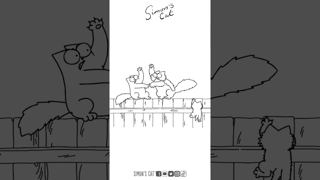maxresdefault.jpg