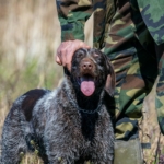 Photo by Denitsa Kireva